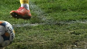 Cât costă înlocuirea gazonului care a stricat ultimul meci al echipei naționale