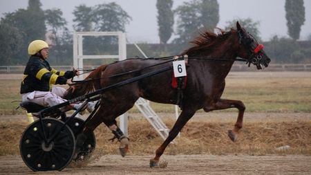 Un nou "Derbi de trap" pe Hipodromul Ploiești
