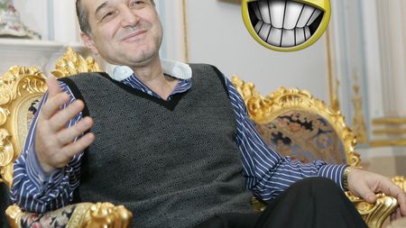 Becali: "Dacă nu am succes în politică, pot să fac din oi un hobby"