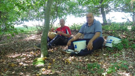 Laszlo Dioszegi, blocat în vamă la Turnu. Patronul clubului Sepsi ratează meciul cu FCSB: „Mă plimb ca un urs! Așa ceva nu am văzut niciodată”