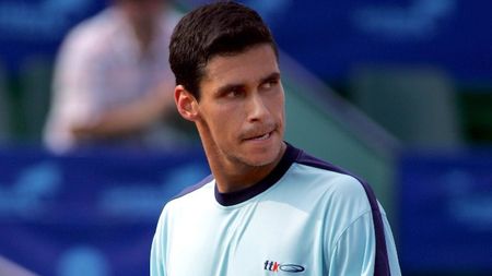 Hănescu l-a bătut pe Ljubicic