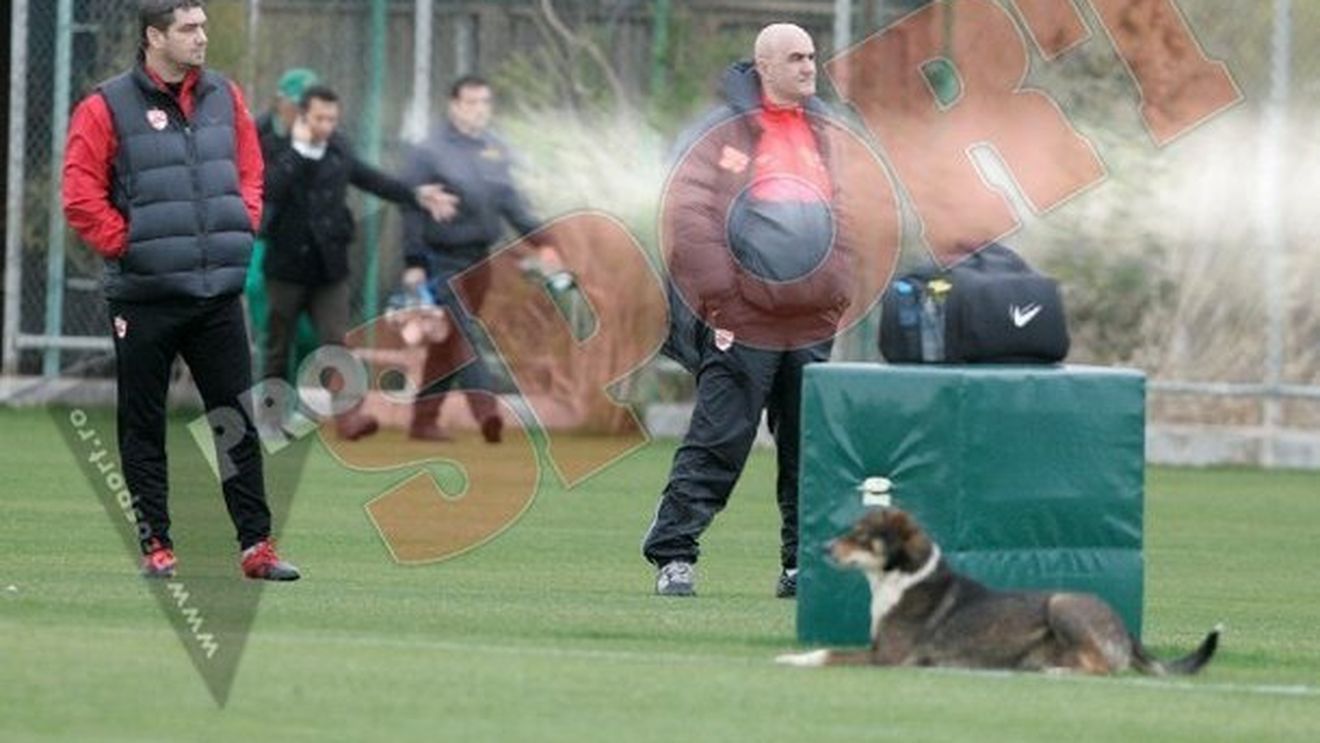 "La Steaua nu se acceptă încă un titlu ratat! Va fi greu pentru Dinamo"** Andone spune de unde vine marele pericol pentru "câini"