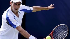 Hănescu, eliminat la Metz