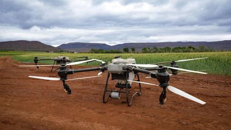 (P) Fermele viitorului: cum au devenit dronele noul aliat al fermierului modern