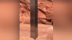 Ne-au vizitat extratereștrii? Un monolit misterios a fost descoperit în deșertul american | VIDEO