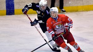 Hocheiul românesc, aproape de faliment