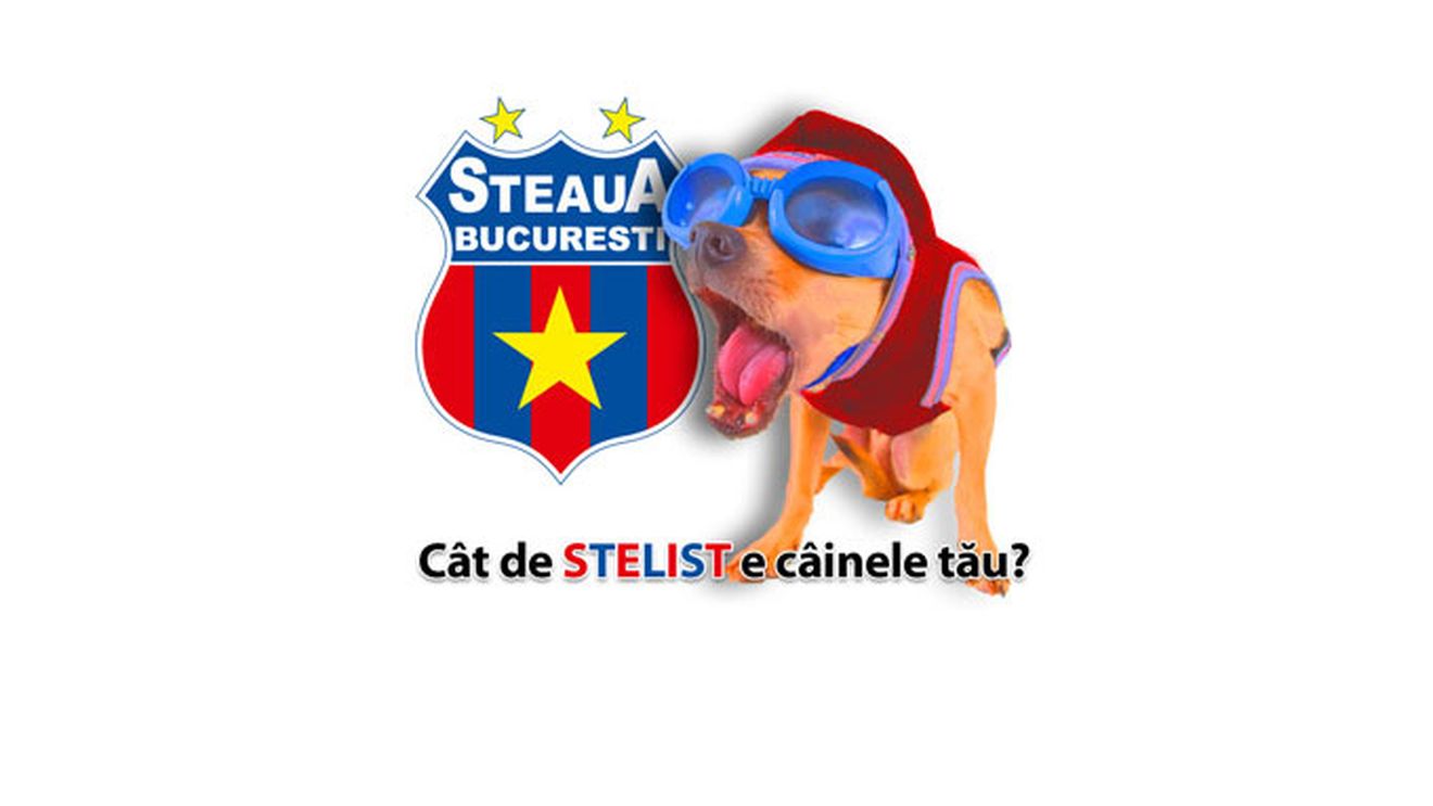 Concurs** Cat de stelist e cainele tau?