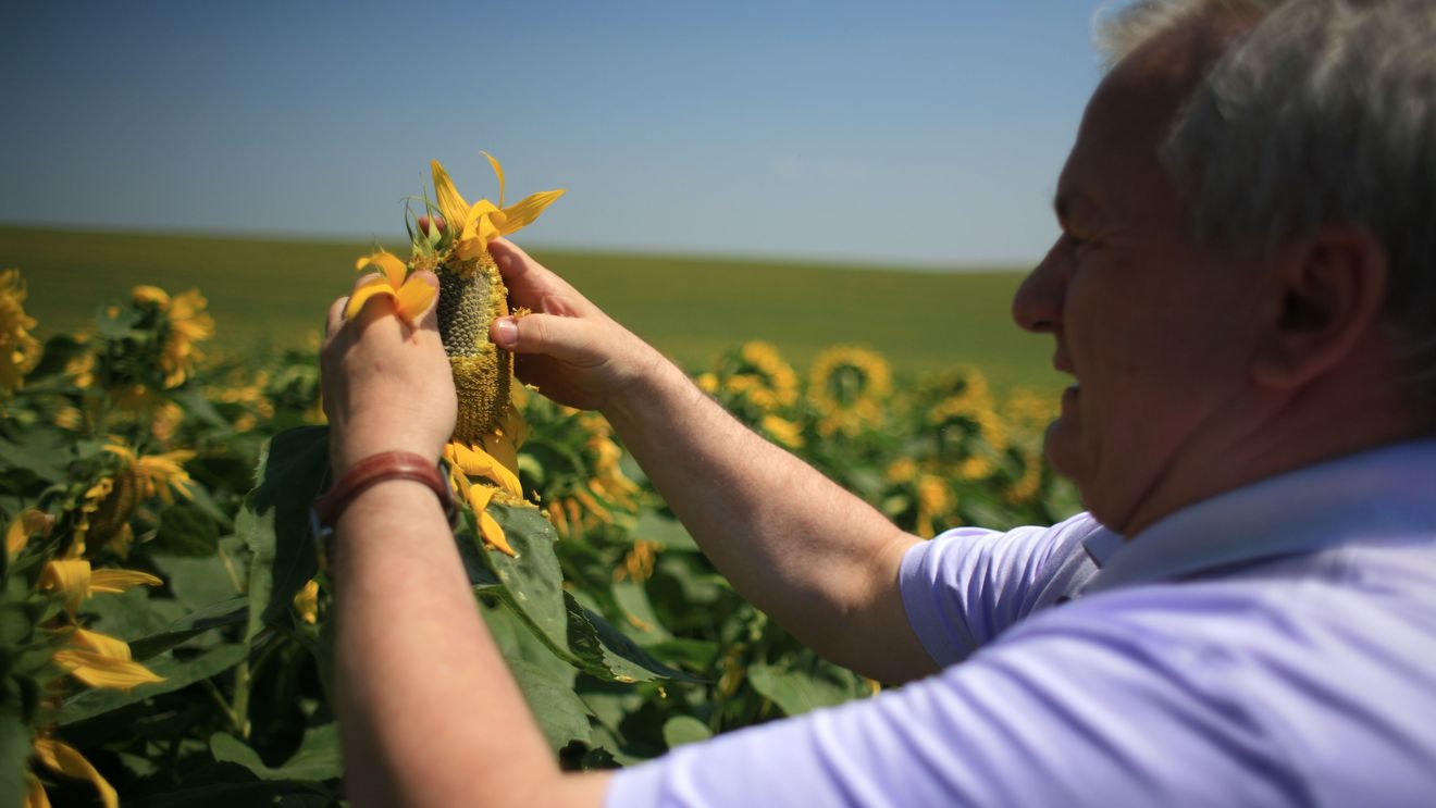 Porumboiu atacă: "Nu e prima dată când CFR e ajutată de Hațegan și toată gașca asta. Suntem de râsul lumii cu Diaconu "Brichetă" care îl deleagă pe Colțescu"