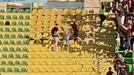 Ultrașii din Peluza Sud Steaua, atacați de fanii din Mioveni! Imagini cu bătaia cruntă din tribune