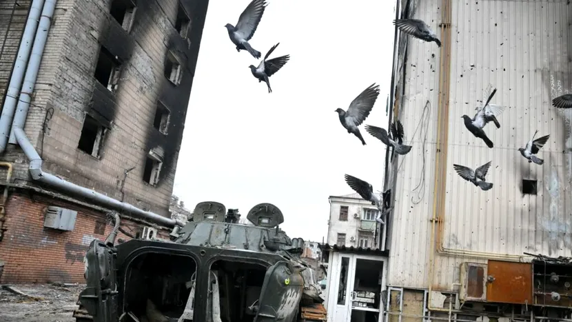 Locuitorii din Mariupol „trebuie să vâneze porumbei” din cauza lipsei de hrană. Cât de periculos este să-i mănânci