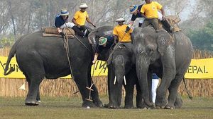 Fotografia zilei / Grămadă ordonată