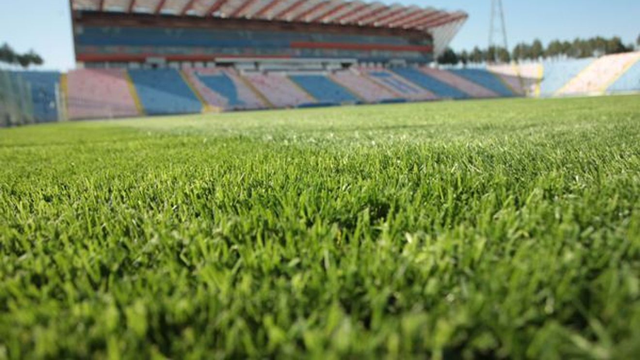 Neșu: „Steaua trebuie să revină în Ghencea"