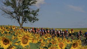 Dinamo va participa cu o echipă 100% românească