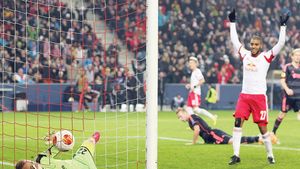 Aripi pentru succes. Cum a construit Red Bull o echipă de fotbal care scrie istorie în Austria