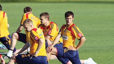 Pițurcă trebuie să aleagă dintre Moți și Ghionea