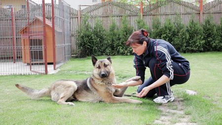 Huțupan: "Vreau să-mi fac cadou o victorie în Rusia"