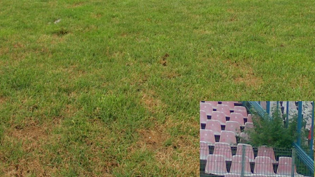 "Războinicii" din Ghencea!