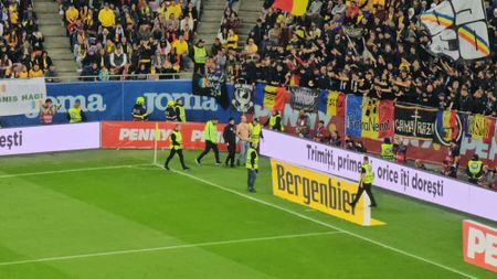 A intrat la bustul gol pe teren în România - Austria. Stewarzii au intervenit și au reușit placarea sa după câteva zeci de secunde