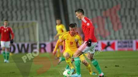 Gigi Becali îl critică pe Pițurcă:** "Tu vrei să inventezi fotbalul când ai Steaua la dispoziție?" Ce jucători trebuie să joace cu Olanda pentru a nu avea emoții