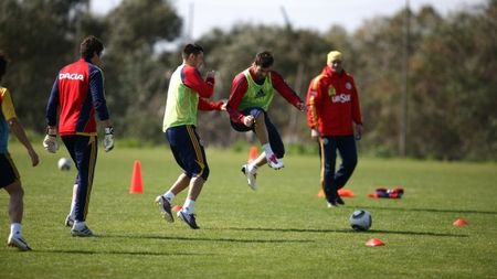 Grigore, motivul atacurilor la Lucescu**: "Andone e penibil! Nu mai cred în selecționer"