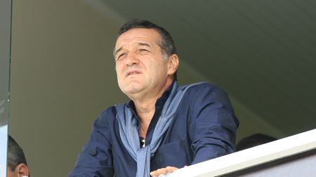 Becali: „Am negociat pentru Goian în Germania"
