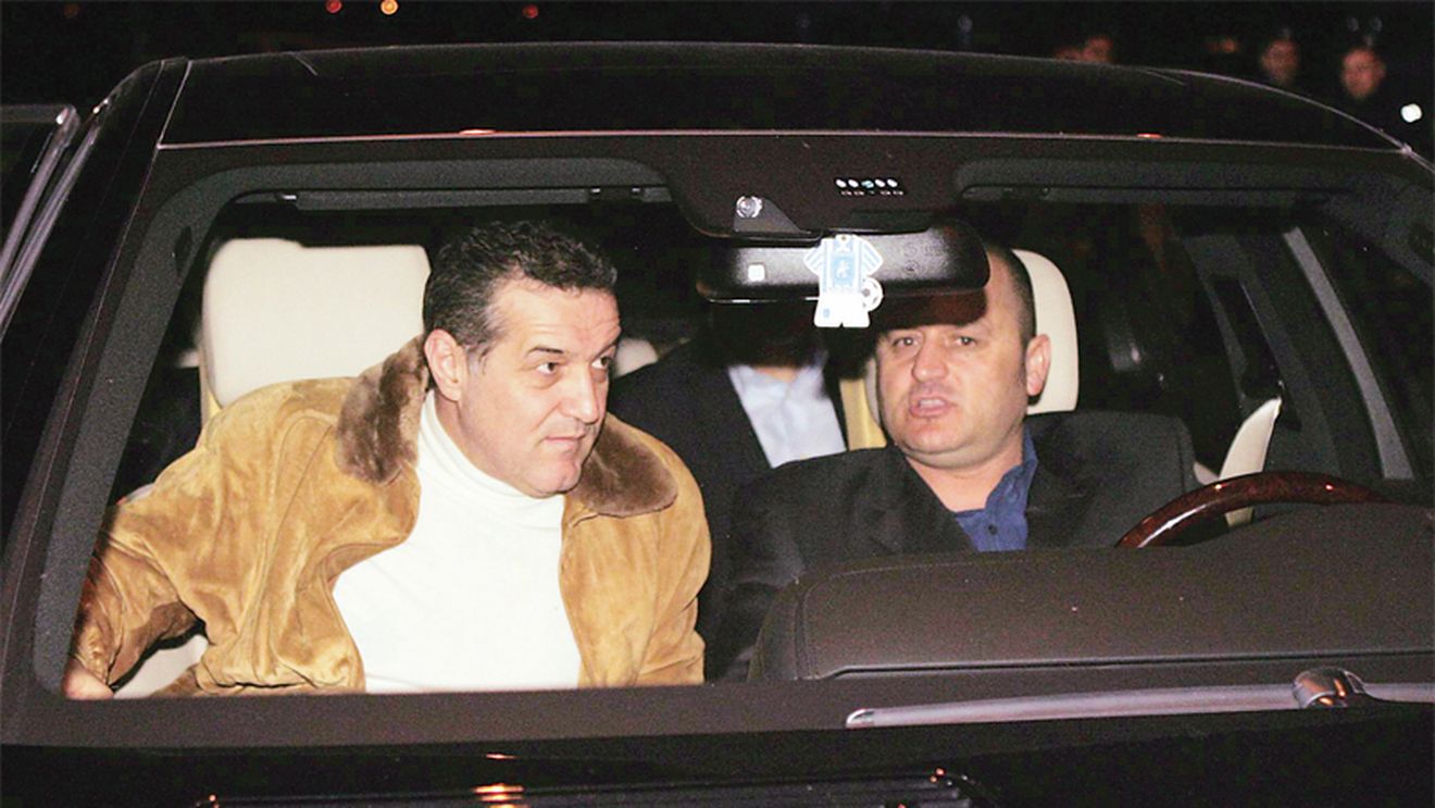 Steliștii resemnați?