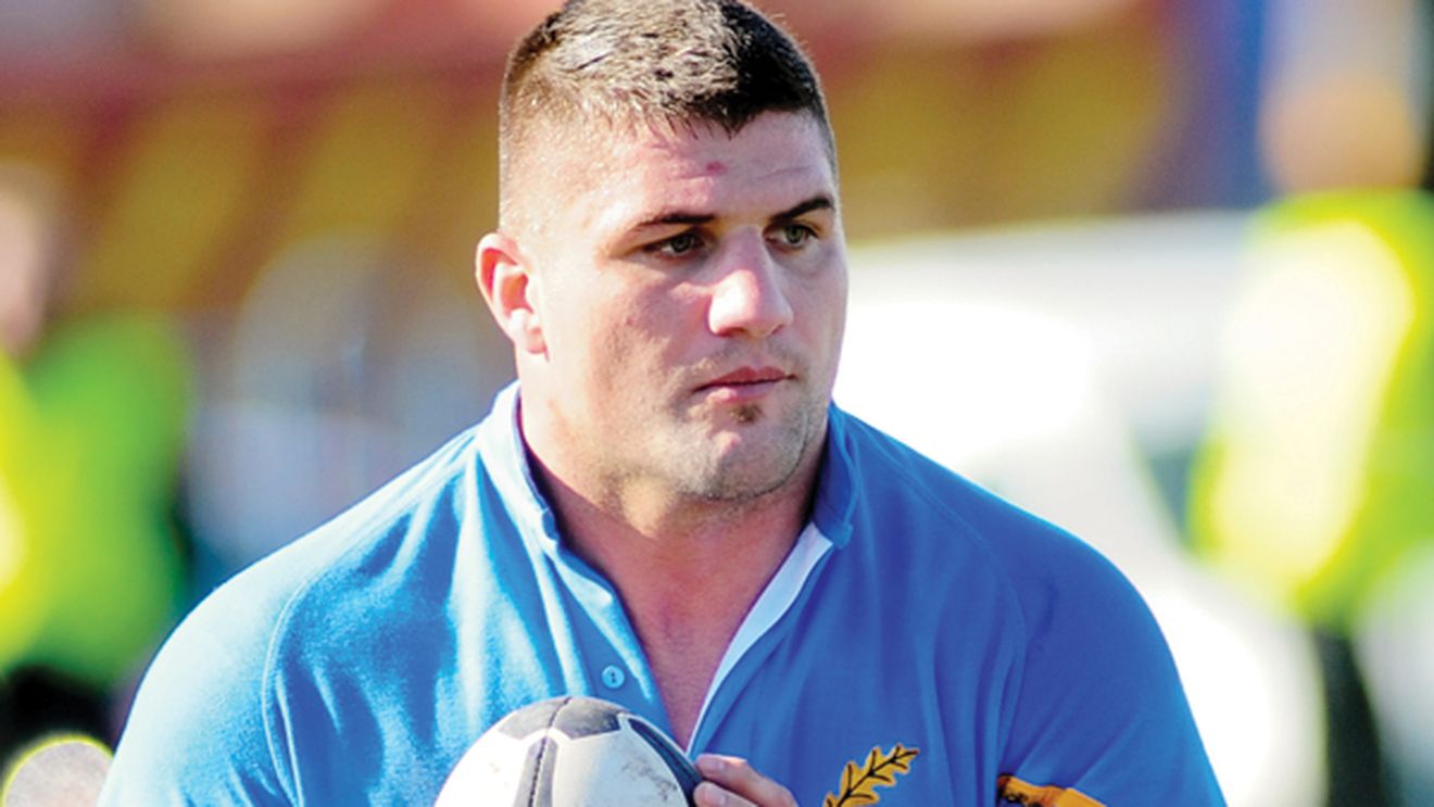 Stejar, extremă urgență!