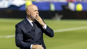 Sergej Barbarez lămurește, cu lacrimi în ochi, de ce Bosnia a pierdut cu SUA și e eliminată de la Cupa Mondială!