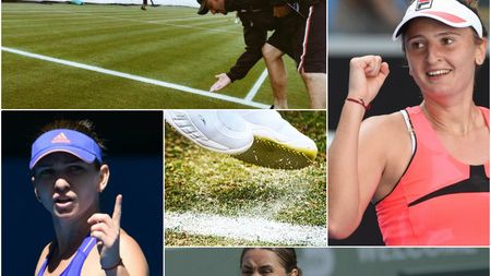 Halep, în "optimi" la Birmingham: victorie de rutină cu inconstanta Broady, la debutul pe iarbă. Begu, învinsă de Hantuchova în meciul șanselor ratate. Niculescu, victimă în fața cehoaicei Strycova