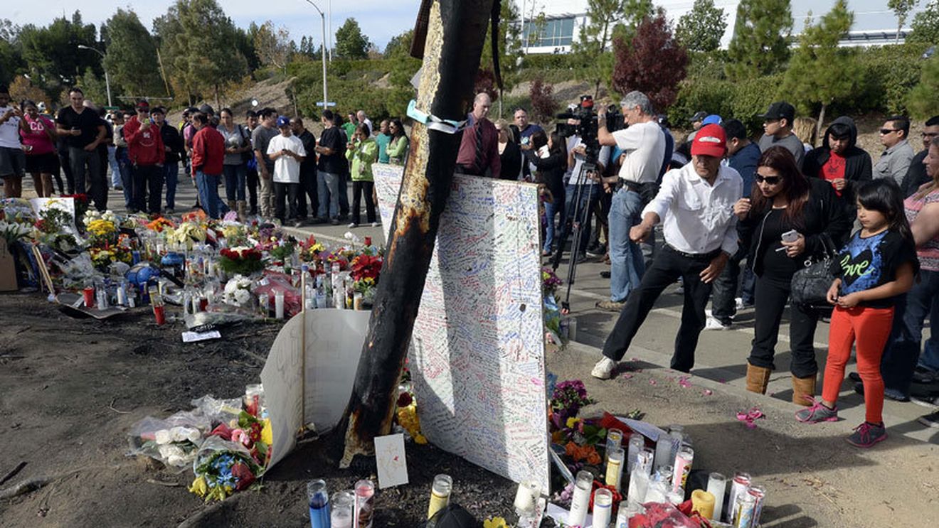 Un bărbat a scos la vânzare bucăți din copacul în care și-a găsit sfârșitul Paul Walker