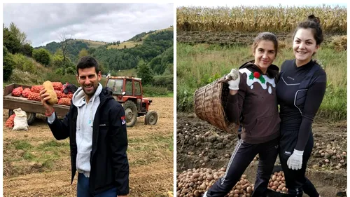 Toamna se numără cartofii! Ce legătură este între Novak Djokovic și campioanele  mondiale la canotaj din România