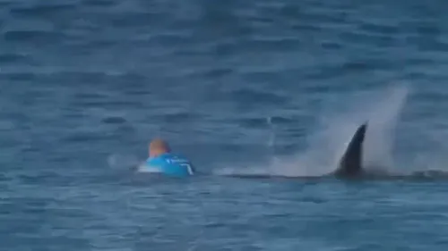 VIDEO | Mick Fanning, surferul atacat de un rechin alb la J-Bay Open: 