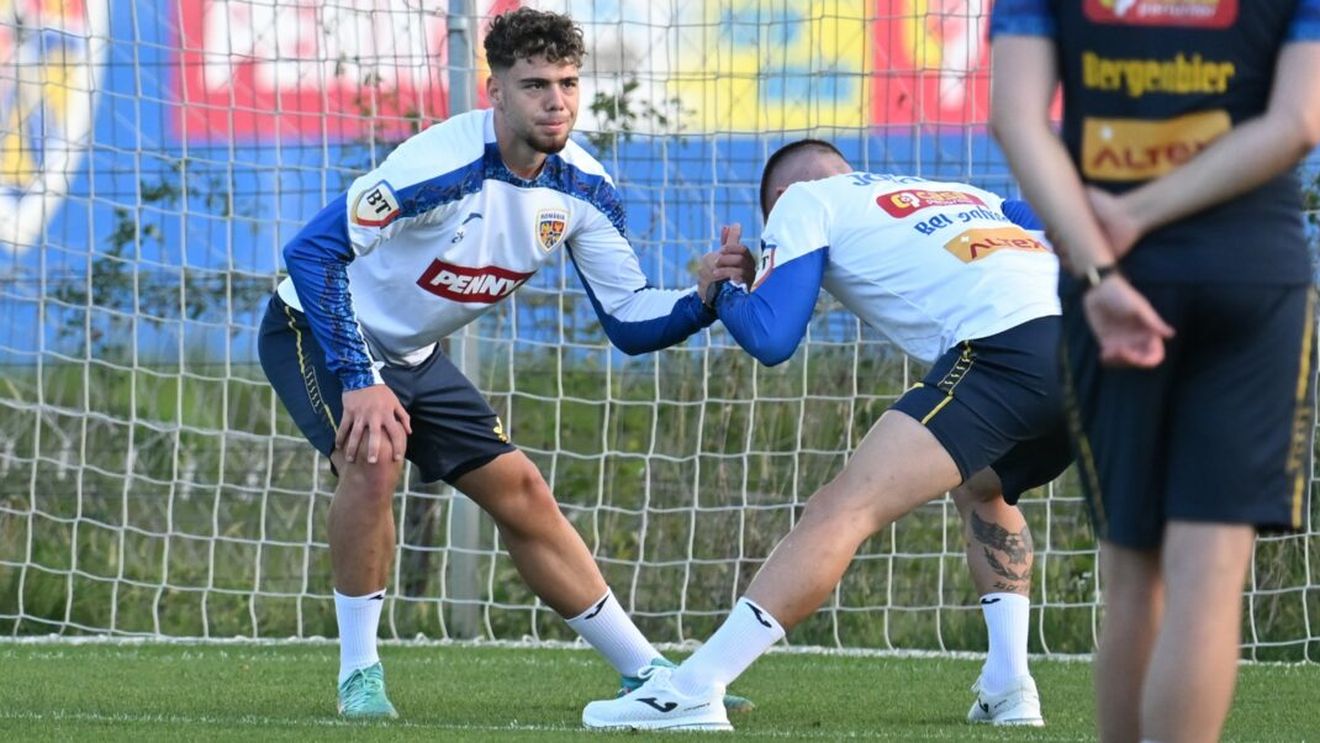 Andrei Borza s-a accidentat și ratează meciurile naționalei cu Canada și Cipru. Ce variante are Mircea Lucescu