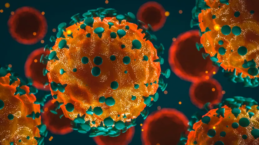 Ce se va întâmpla cu coronavirusul când vor crește temperaturile! Ce spun medicii