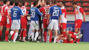 Precedentul "John Terry", folosit de Dinamo