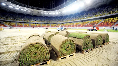 Costurile înlocuirii gazonului de la Arena Națională, suportate de FRF prin cluburi