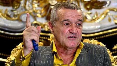 Gigi Becali a dat verdictul despre arbitrul Horațiu Feșnic, delegat la Dinamo – FCSB: „Să nu facă pe șmecherul”