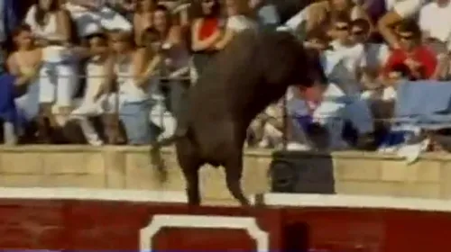VIDEO ȘOCANT **Un alt taur furios a sărit direct în tribune! 40 de spectatori au fost răniți