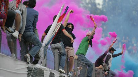 "Tweety", al doilea ultras pedepsit cu închisoarea! CUM COMENTEZI?