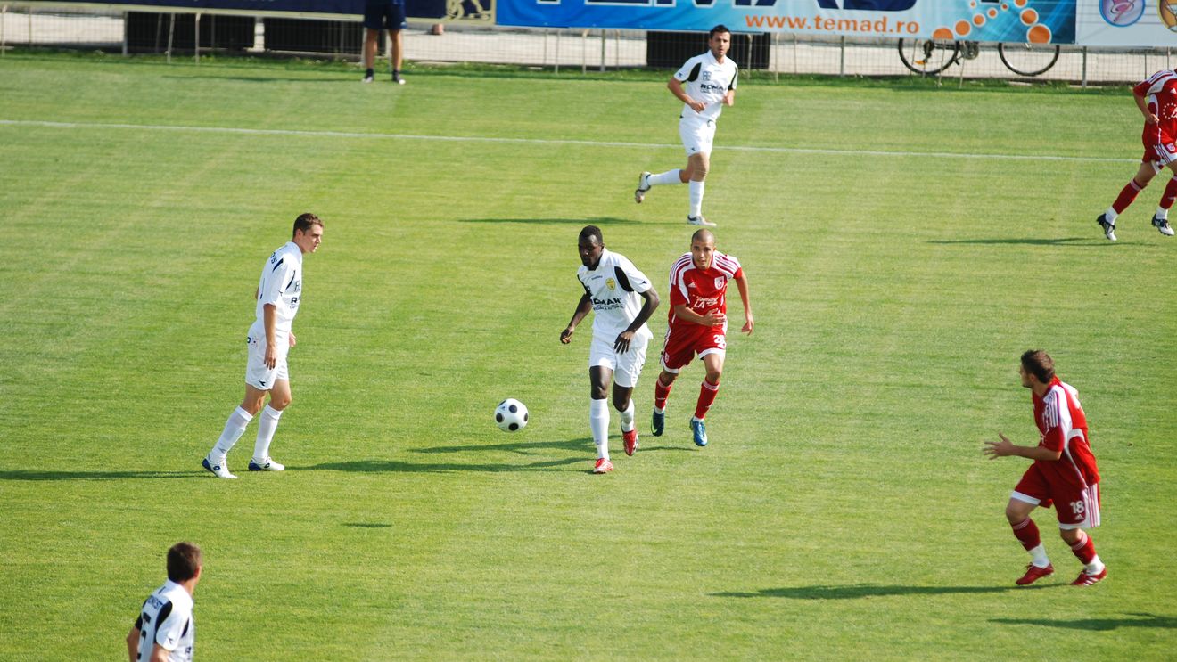 Test util pentru „stegari"