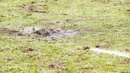 Ganea nu vrea rugby pe Cluj Arena!** Reacția antrenorului, după "U" Cluj - Steaua 8-19