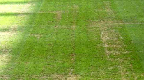 FOTO Gazonul de pe Santiago Bernabeu arată oribil înainte de Real – Ajax Amsterdam