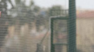 Blochează Lăcătuș transferul lui Rădoi? "Am nevoie de toți jucătorii! Nu pleacă nimeni!"