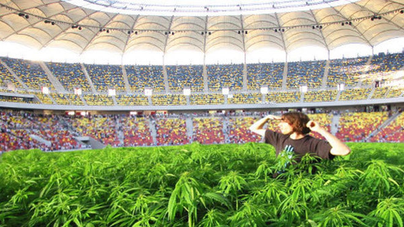 FOTO AMUZANT** IATĂ‚ câteva propuneri pentru gazonul de pe National Arena! ALEGE modelul olandez, vienez, taliban sau italian! :)