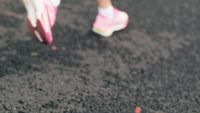 (P) Care mărci de încălțăminte sport sunt cele mai confortabile? TOP 5 branduri recomandate