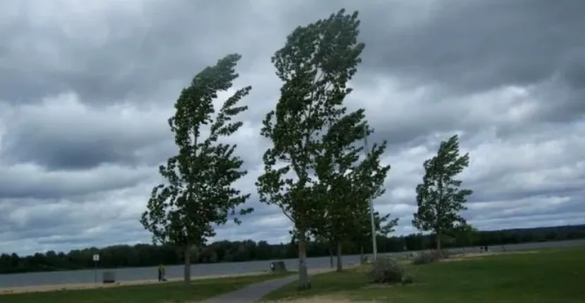 Prognoza meteo 23 februarie 2020! Vreme anormal de caldă și vijelii în toată țara