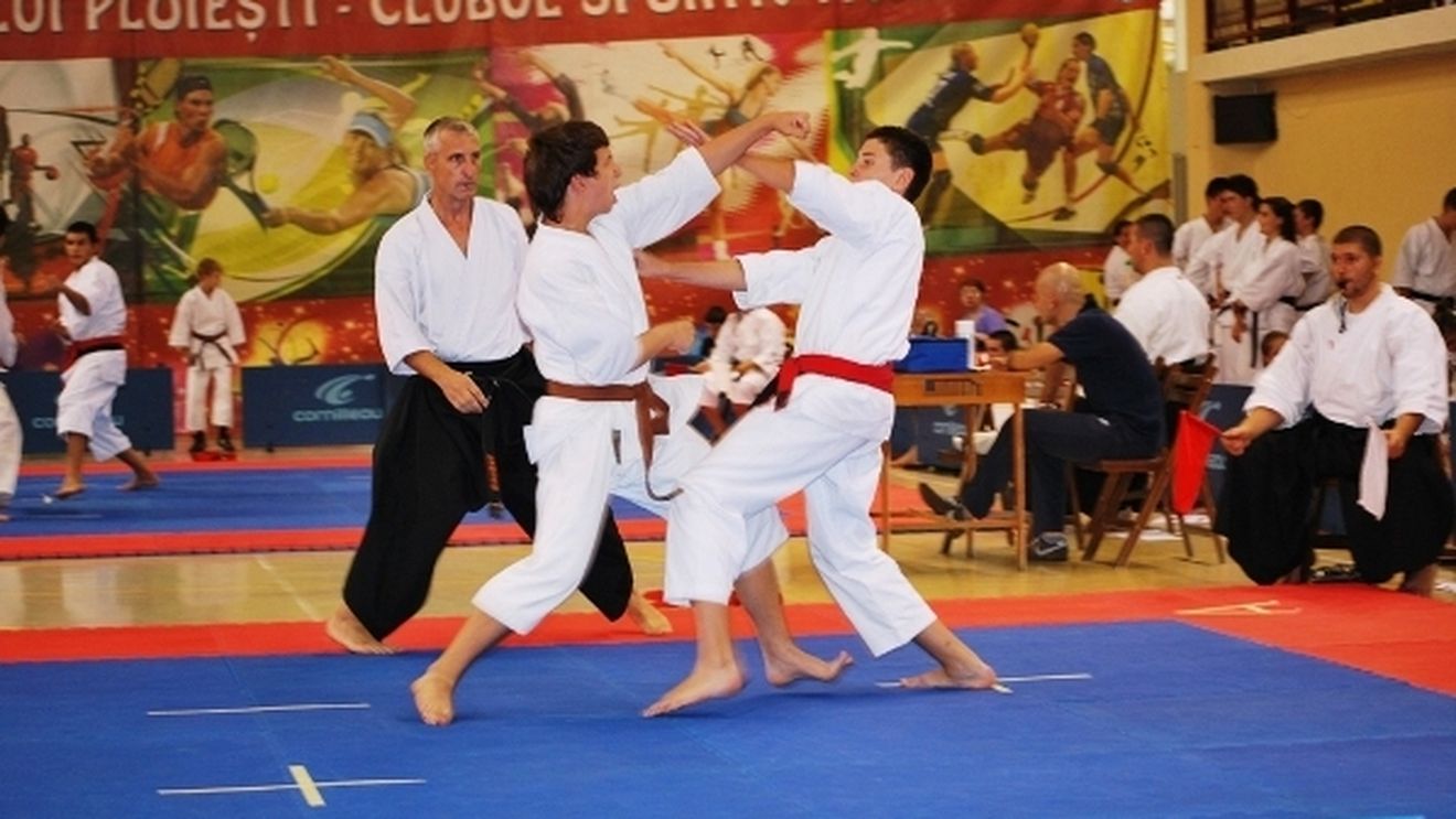 Maestrul de pe tatami