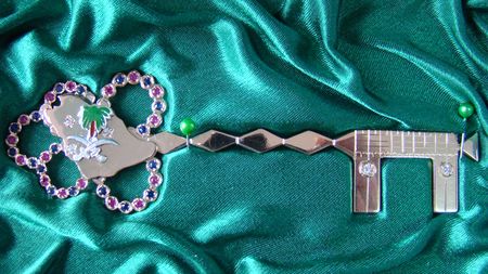 Un artist din Valea Jiului a cerut iertare arabilor pentru gestul lui Cosmin Olăroiu