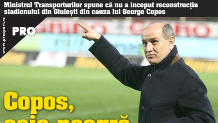 Cine e vinovat de situația stadionului din Giulești?