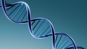 Ți-ai dorit vreodată să fii nemuritor? Omul poate ajunge să trăiască 20.000 de ani. Un expert de la Insititutul de Biogerontologie Moleculară explică cum se poate ajunge la o asemenea vârstă